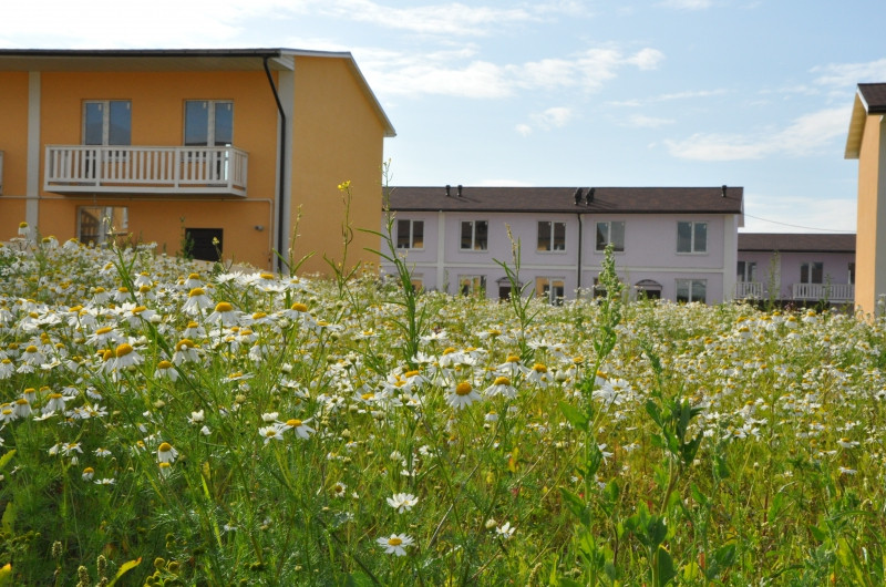 Двухкомнатная квартира 53.5 м²